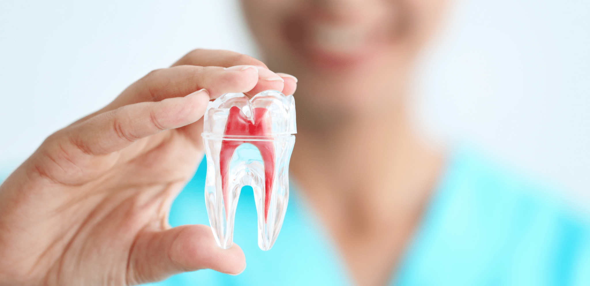 endodontie-devitalisation-dent-2